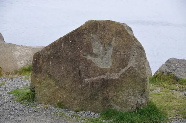 Staffin-plaża dinozaurów